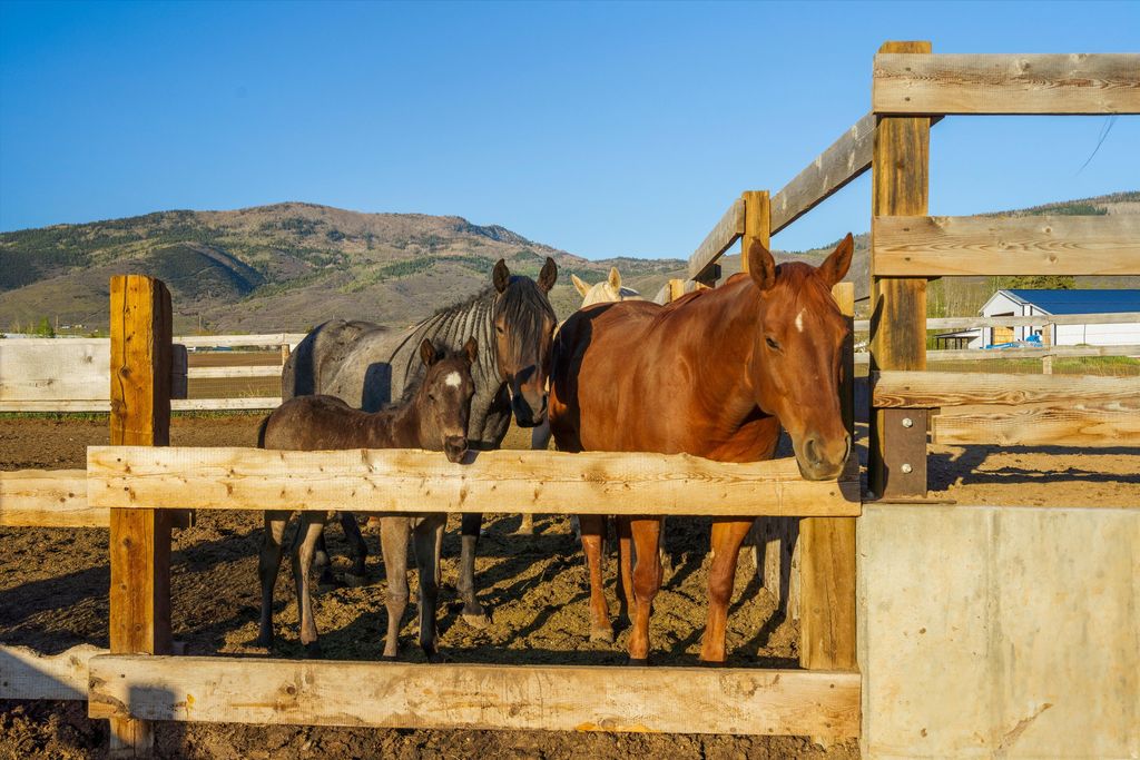 Photo of 320 W 2100 N, Marion, UT 84036 (MLS # 2158021)