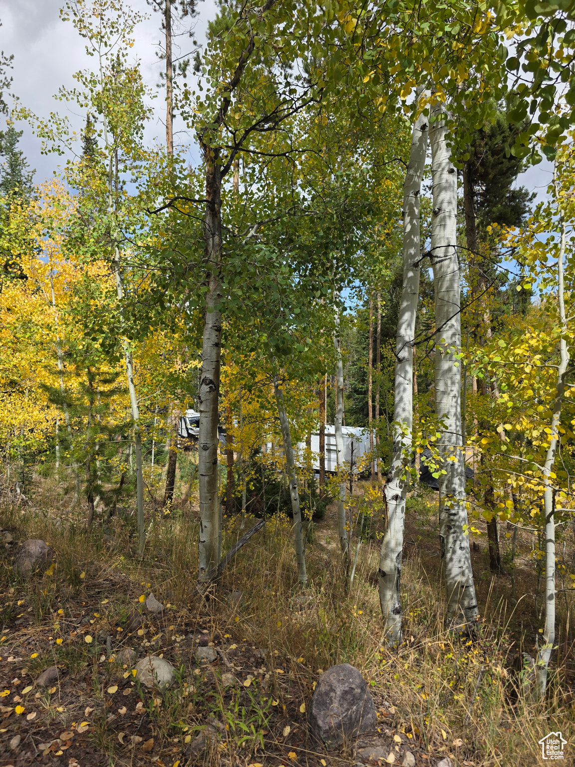 MANOR LANDS - Land