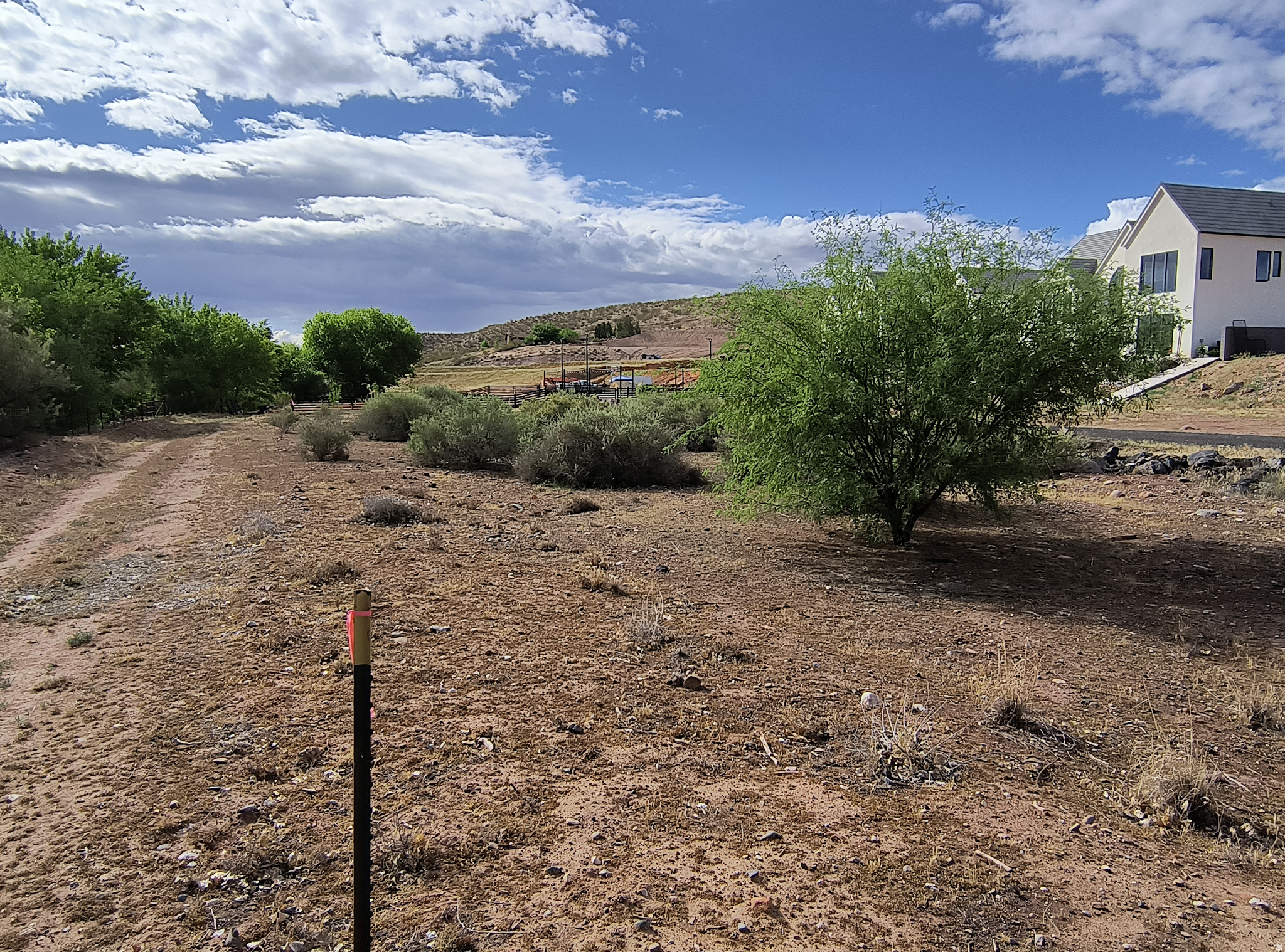 THE SYCAMORES AT SANTA CLARA PHASE 1A - Land