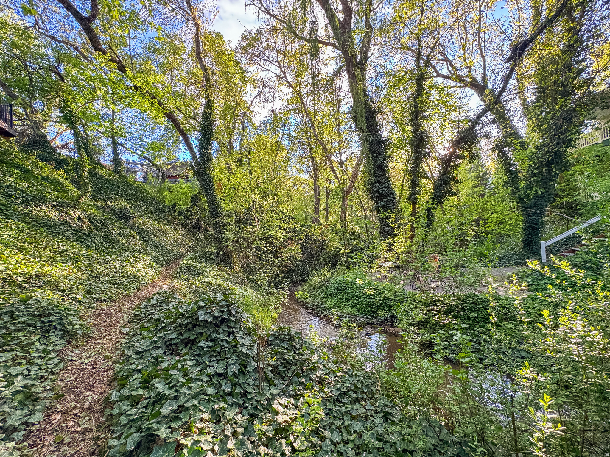 SPRING CREEK - Residential