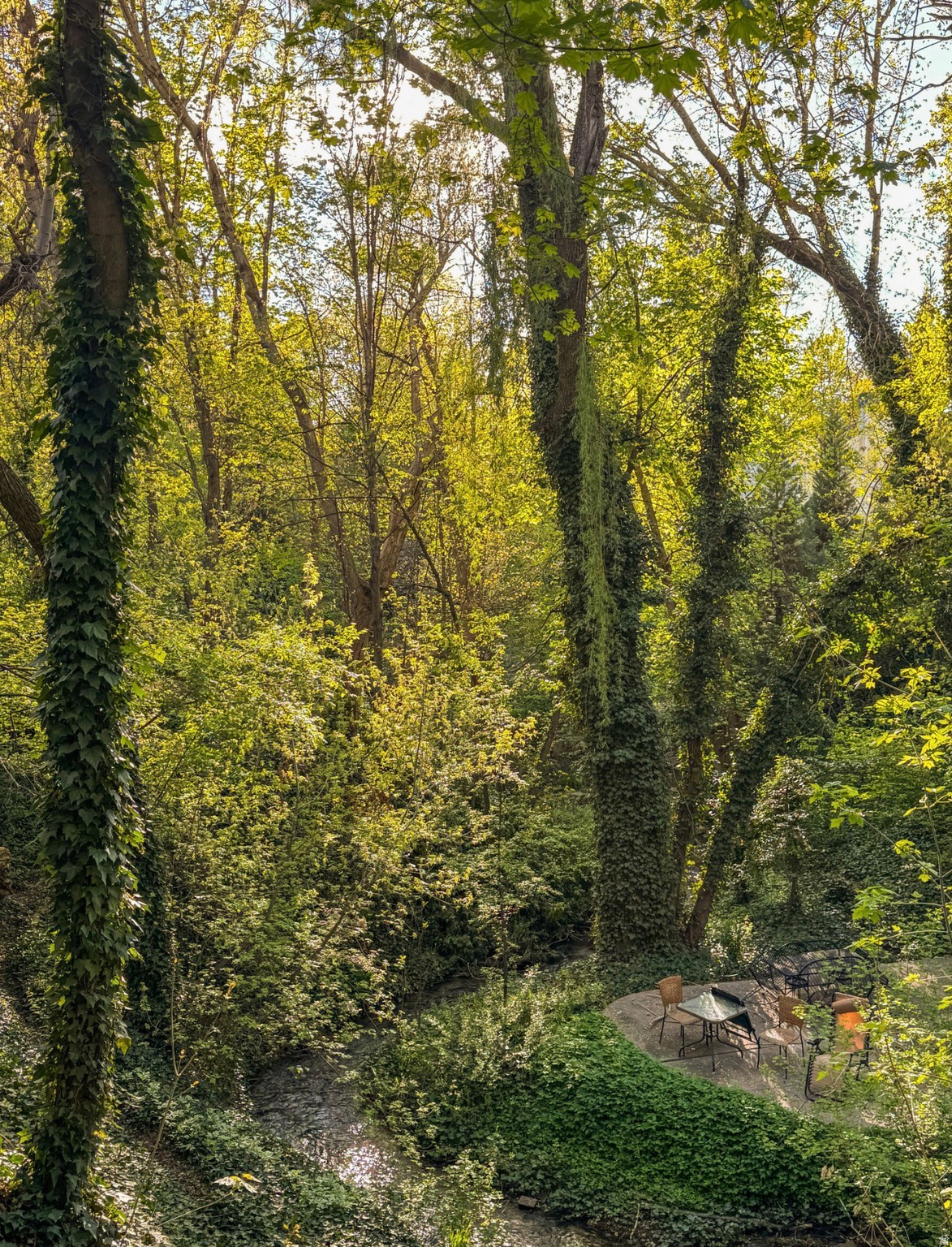 SPRING CREEK - Residential