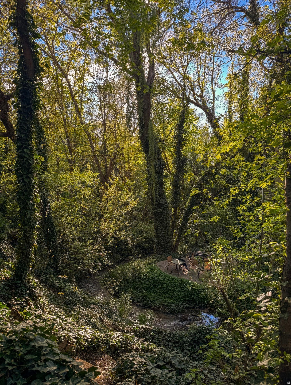 SPRING CREEK - Residential