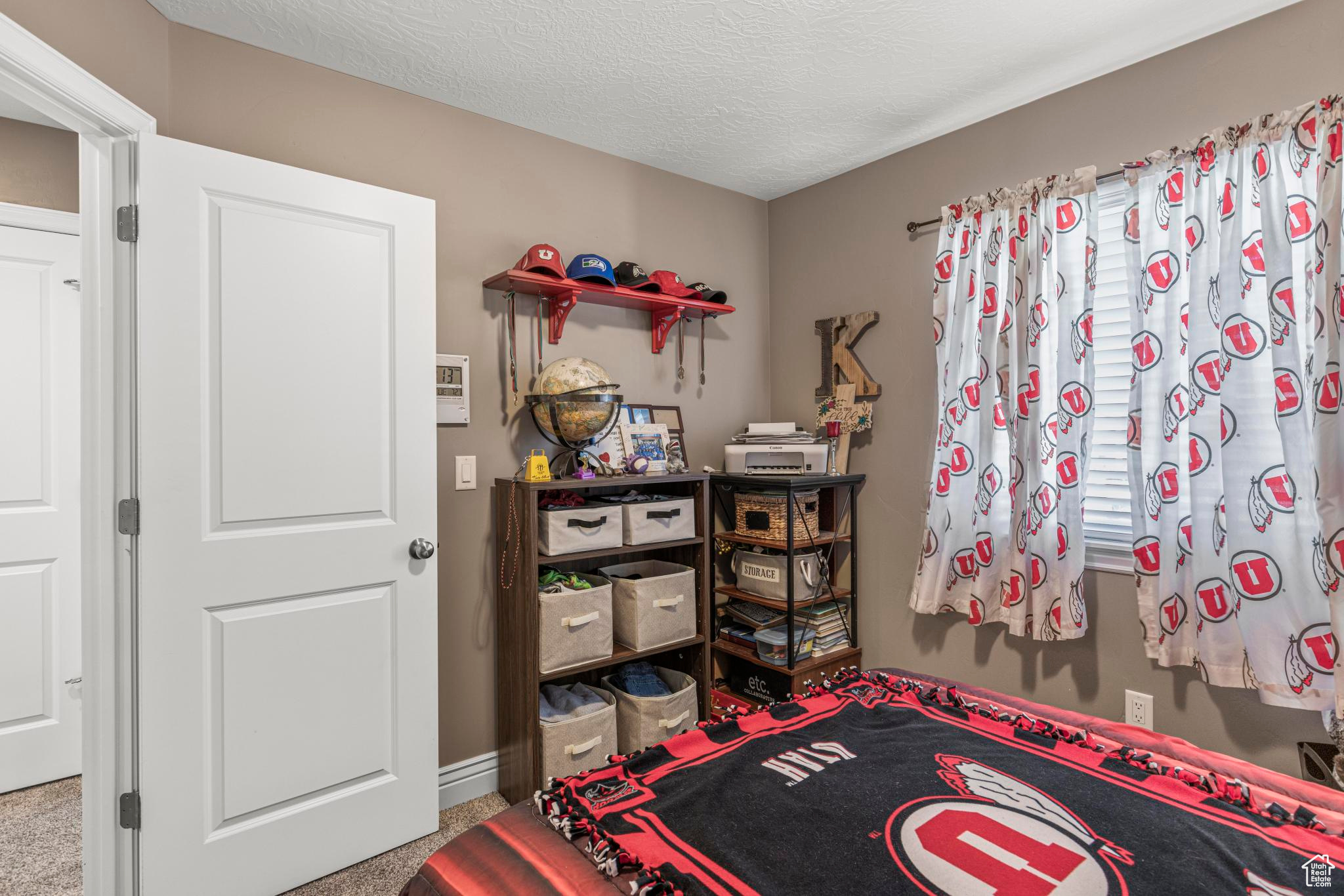 1317 N Providence Way, Tooele, Utah image 19