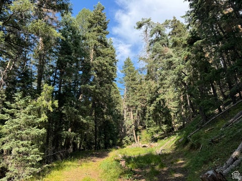 Vacant Land For Sale - #23<br/> Mt Pleasant, UT 84647