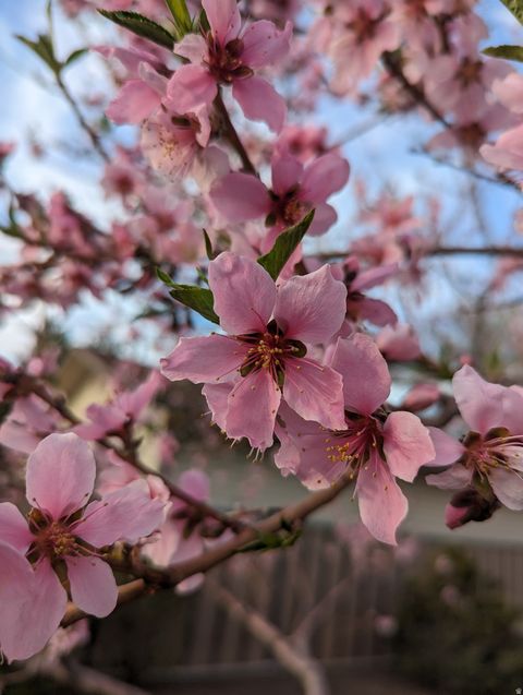 Tiny photo for 2088 N 450 W, Sunset, UT 84015 (MLS # 2144396)