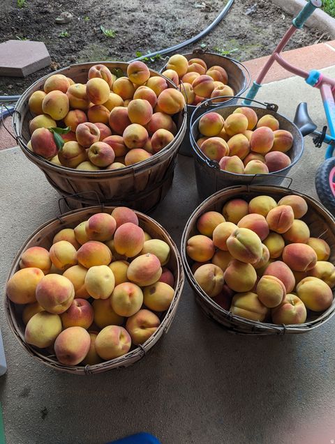 Tiny photo for 2088 N 450 W, Sunset, UT 84015 (MLS # 2144396)