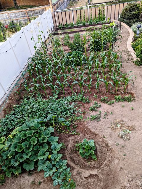 Tiny photo for 2088 N 450 W, Sunset, UT 84015 (MLS # 2144396)