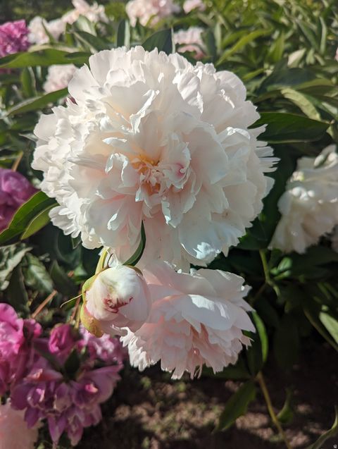 Tiny photo for 2088 N 450 W, Sunset, UT 84015 (MLS # 2144396)