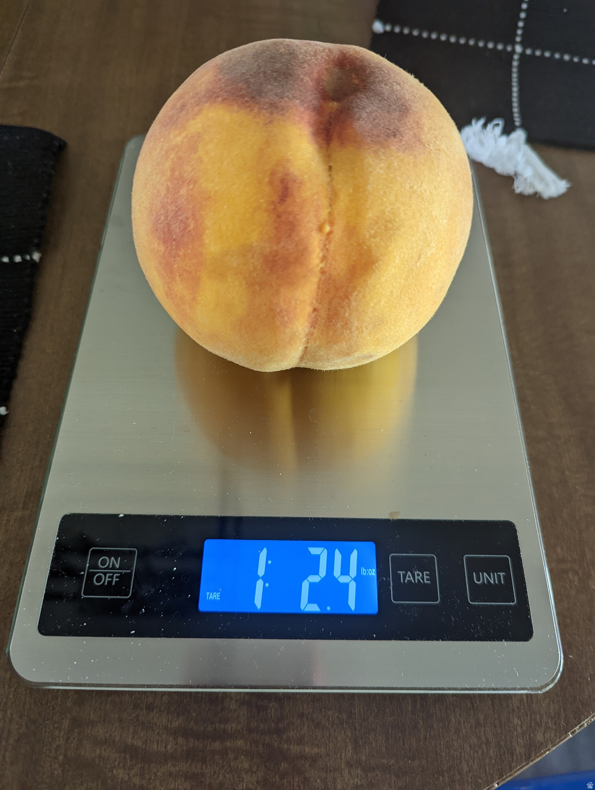 TERRY DALE - Residential