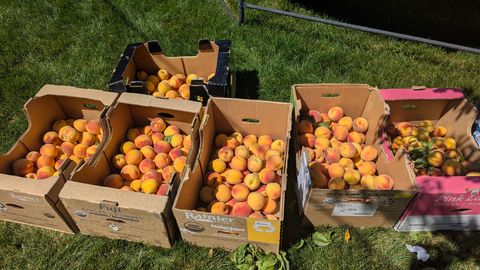 Tiny photo for 2088 N 450 W, Sunset, UT 84015 (MLS # 2144396)