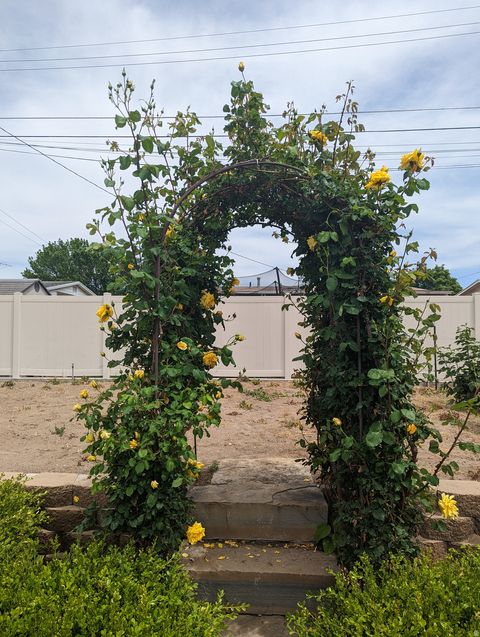 Tiny photo for 2088 N 450 W, Sunset, UT 84015 (MLS # 2144396)