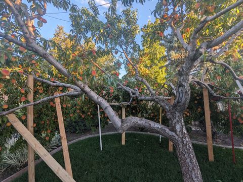 Tiny photo for 2088 N 450 W, Sunset, UT 84015 (MLS # 2144396)