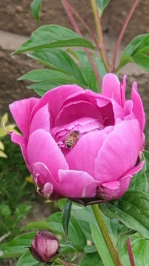 Tiny photo for 2088 N 450 W, Sunset, UT 84015 (MLS # 2144396)