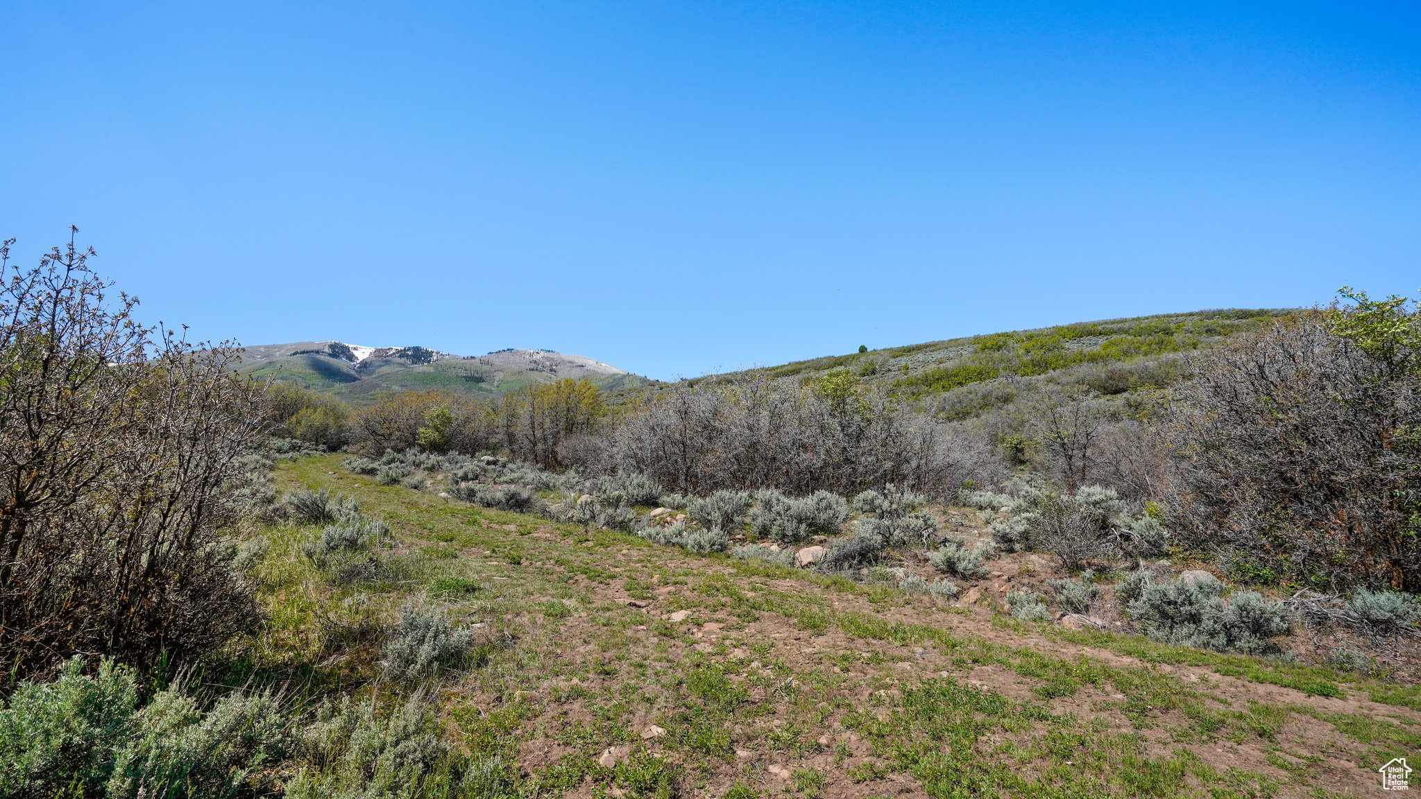 1 On Smooth Hollow Rd, Wallsburg, Utah image 7