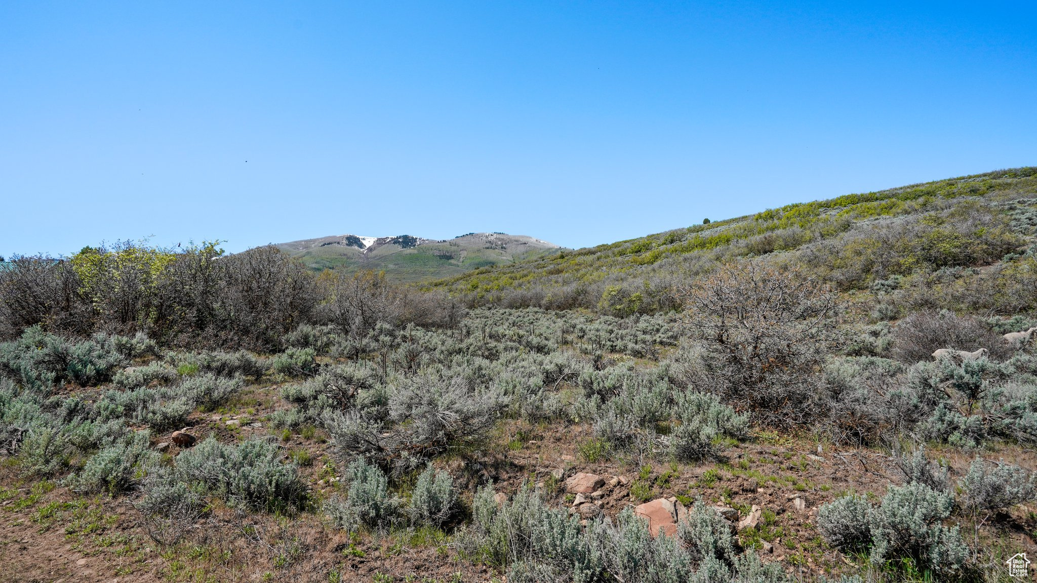 1 On Smooth Hollow Rd, Wallsburg, Utah image 10