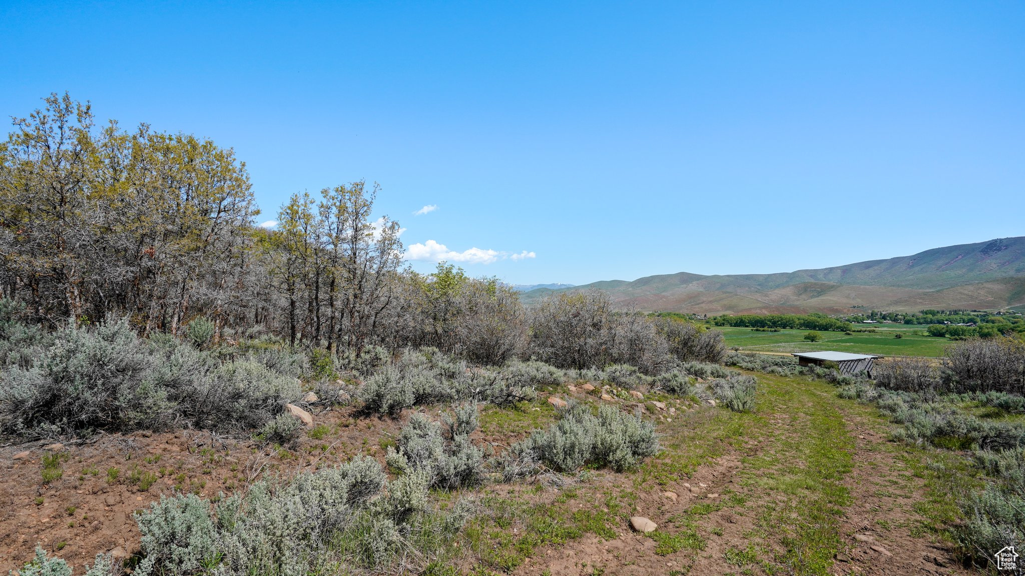 1 On Smooth Hollow Rd, Wallsburg, Utah image 9