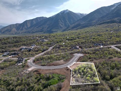 Tiny photo for 1078 S LOAFER DR #217, Woodland Hills, UT 84653 (MLS # 2112629)