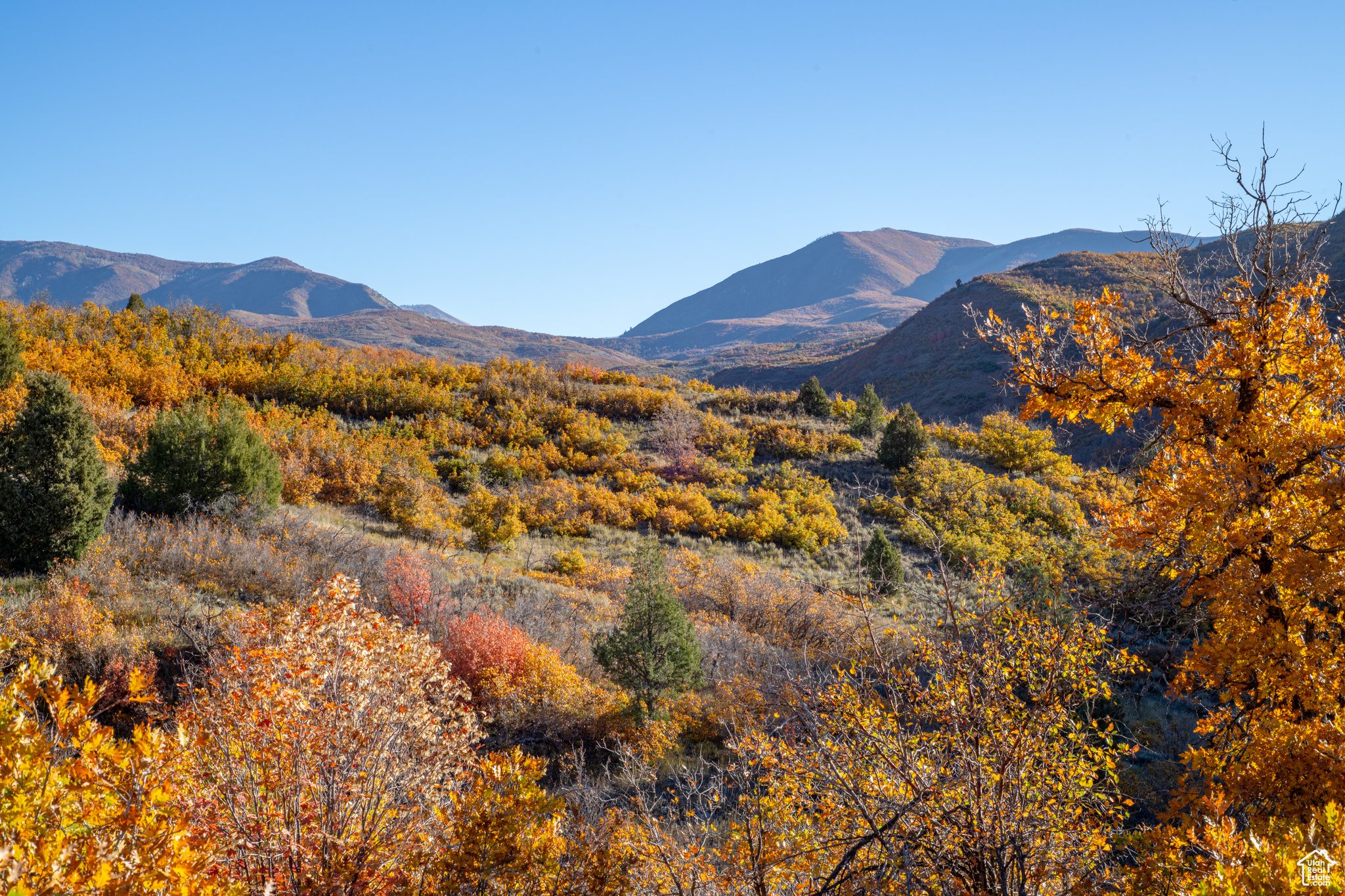 541 S Left Fork Hobble Creek Rd #8, Springville, Utah image 1