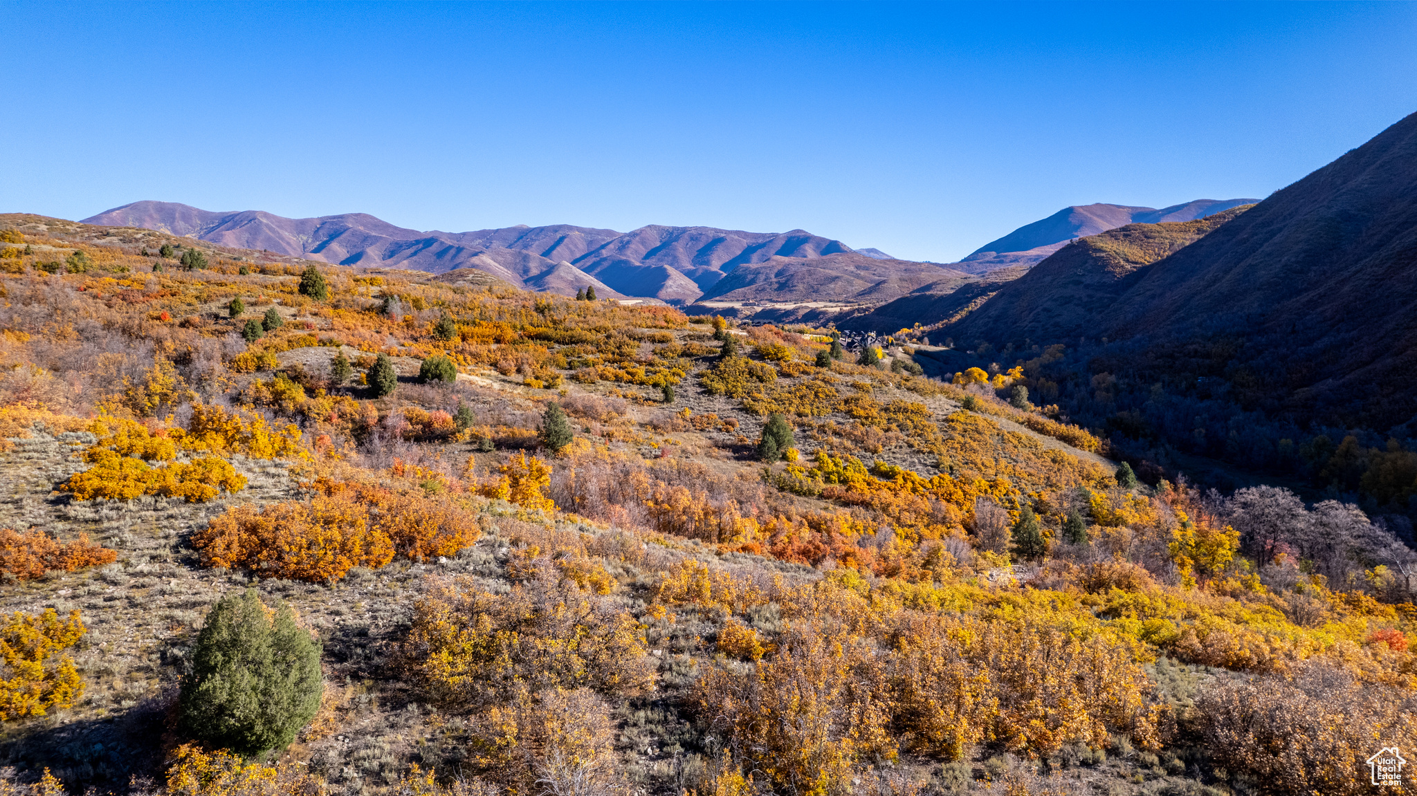 541 S Left Fork Hobble Creek Rd #8, Springville, Utah image 6