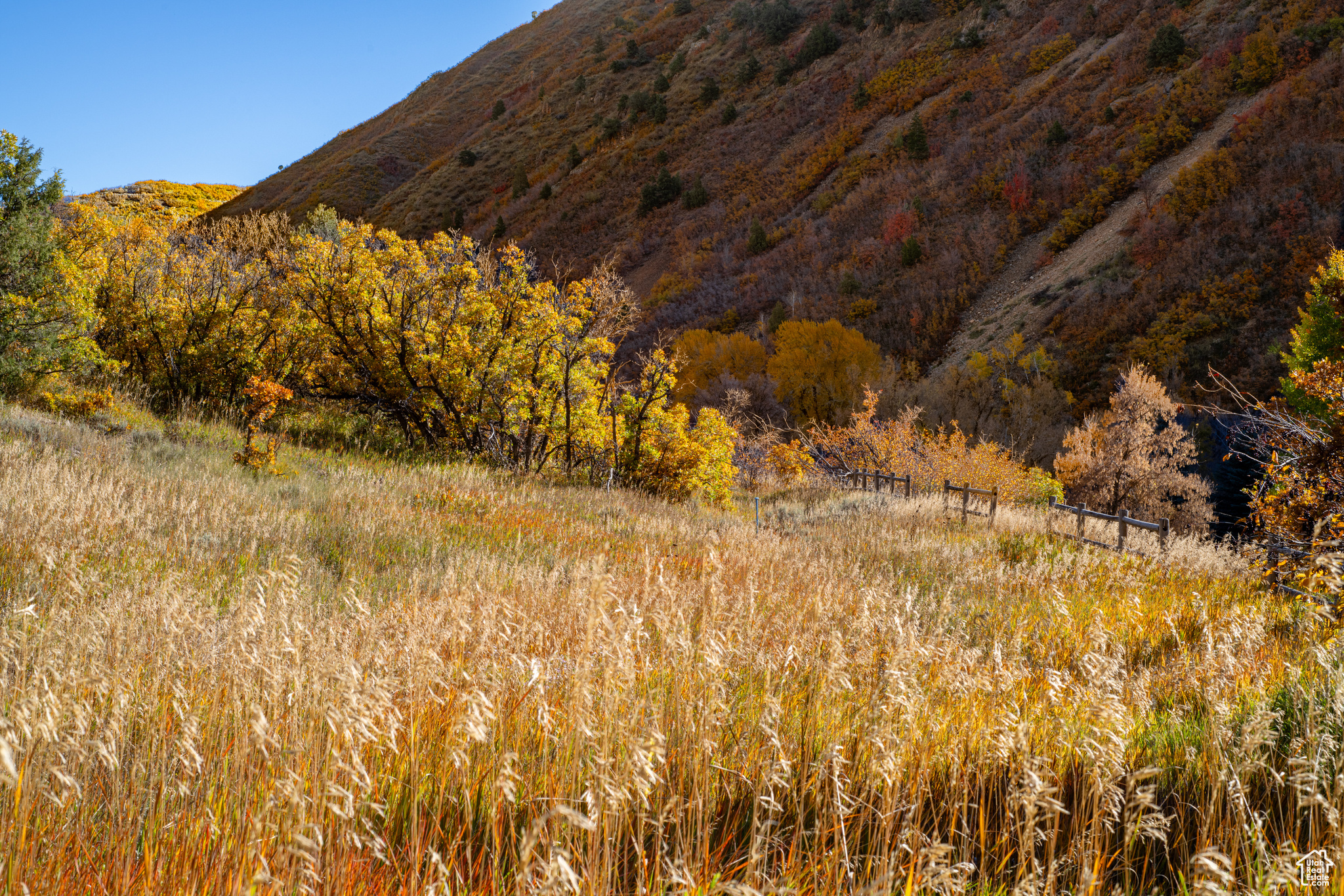 541 S Left Fork Hobble Creek Rd #8, Springville, Utah image 3