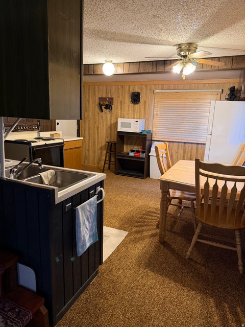 Tiny photo for 1052 MOUNT TABBY DR, Tabiona, UT 84072 (MLS # 2186970)