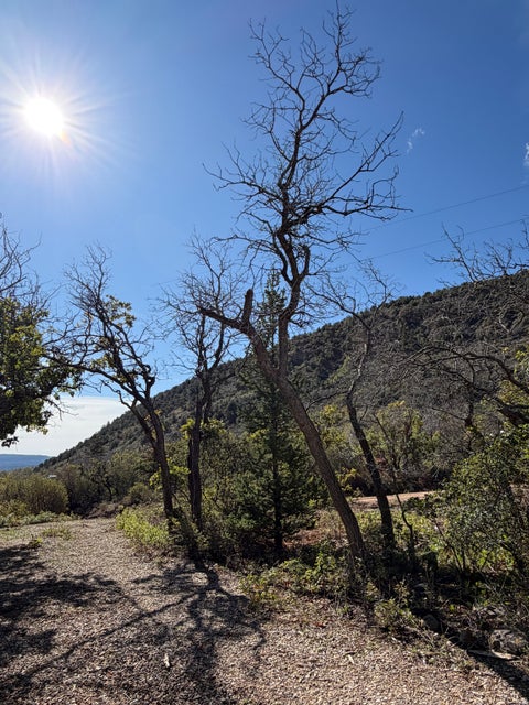 Tiny photo for 1052 MOUNT TABBY DR, Tabiona, UT 84072 (MLS # 2186970)