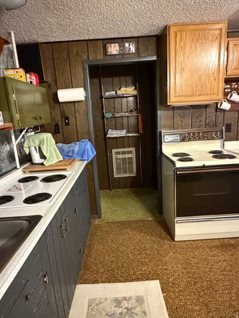 Tiny photo for 1052 MOUNT TABBY DR, Tabiona, UT 84072 (MLS # 2186970)