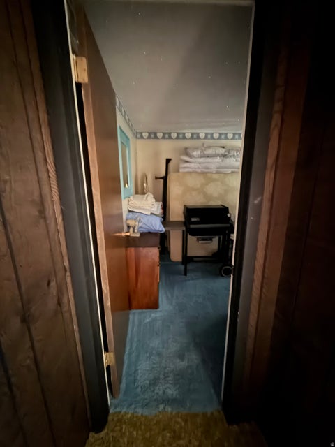 Tiny photo for 1052 MOUNT TABBY DR, Tabiona, UT 84072 (MLS # 2186970)