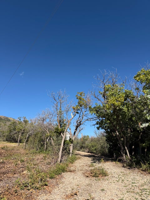 Tiny photo for 1052 MOUNT TABBY DR, Tabiona, UT 84072 (MLS # 2186970)