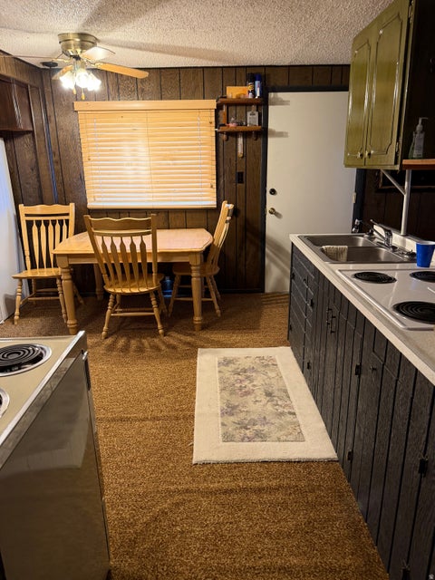 Tiny photo for 1052 MOUNT TABBY DR, Tabiona, UT 84072 (MLS # 2186970)