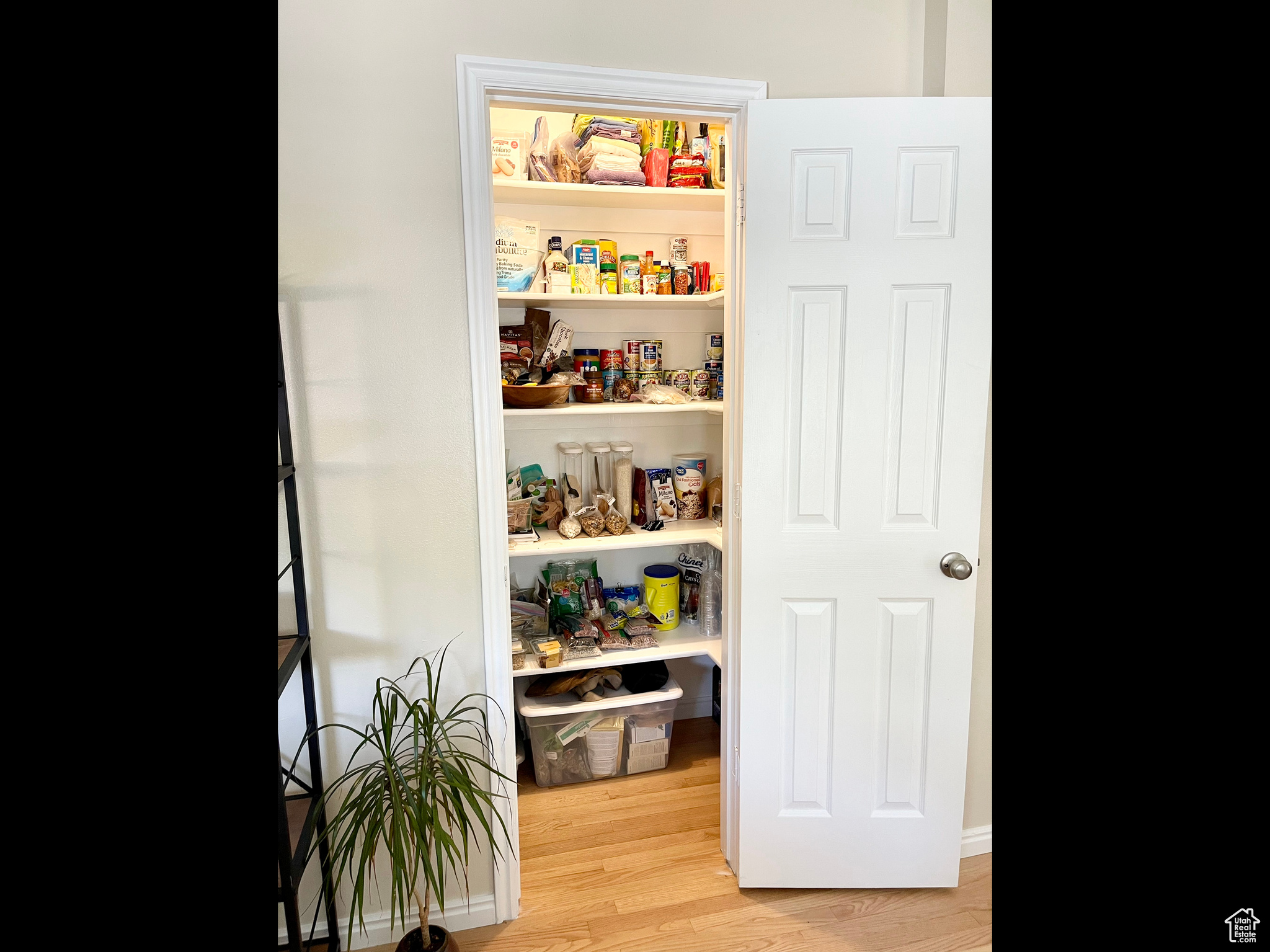 RUSSON - Residential