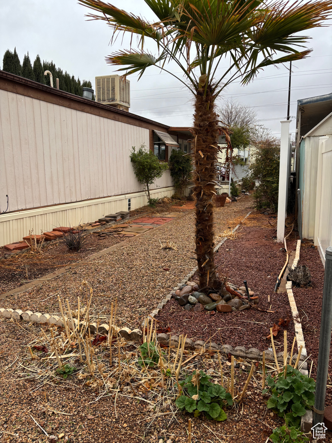 PARADISE PALMS - Residential