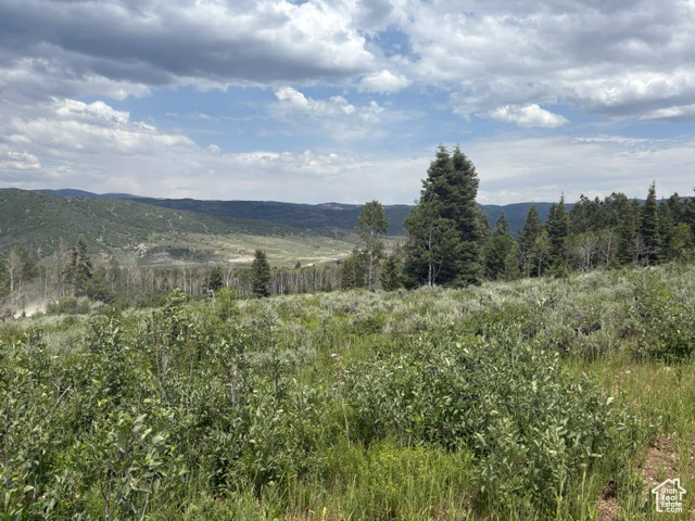 SOLDIER SUMMIT ESTATES - Land