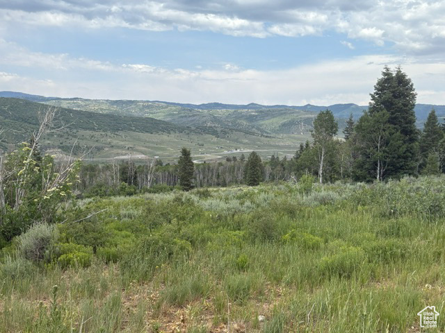SOLDIER SUMMIT ESTATES - Land