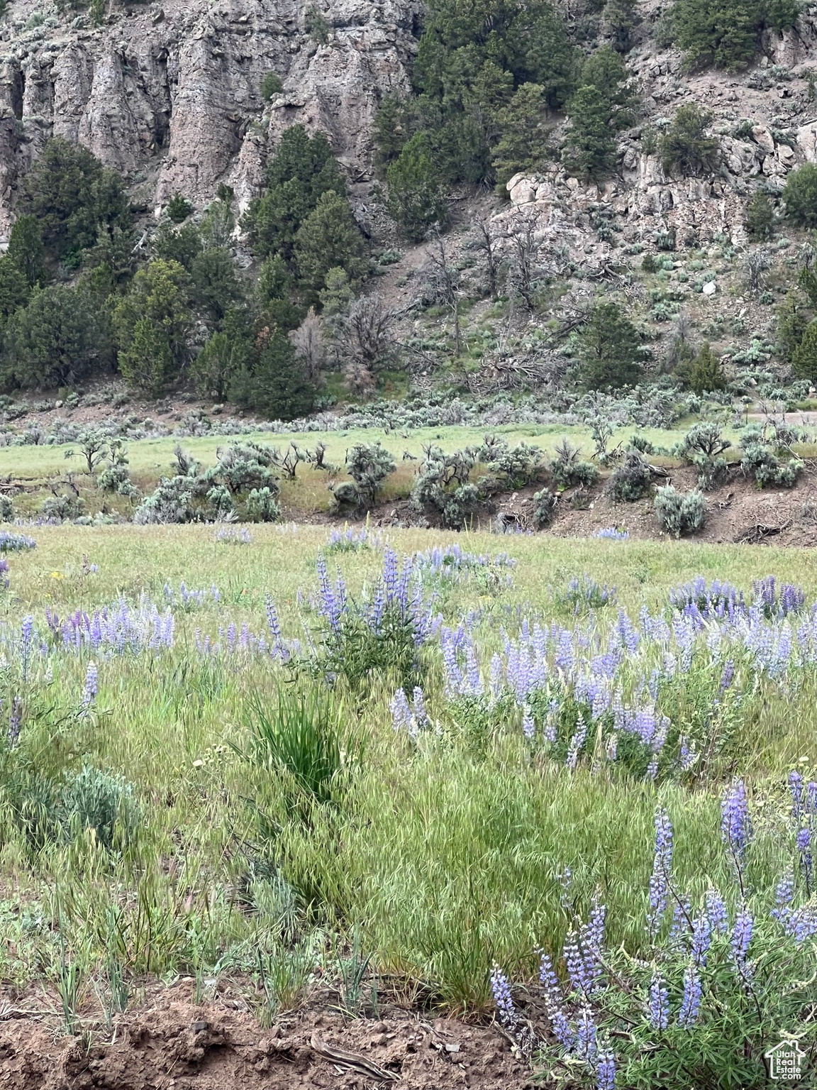 Land, Paragonah, Utah image 1