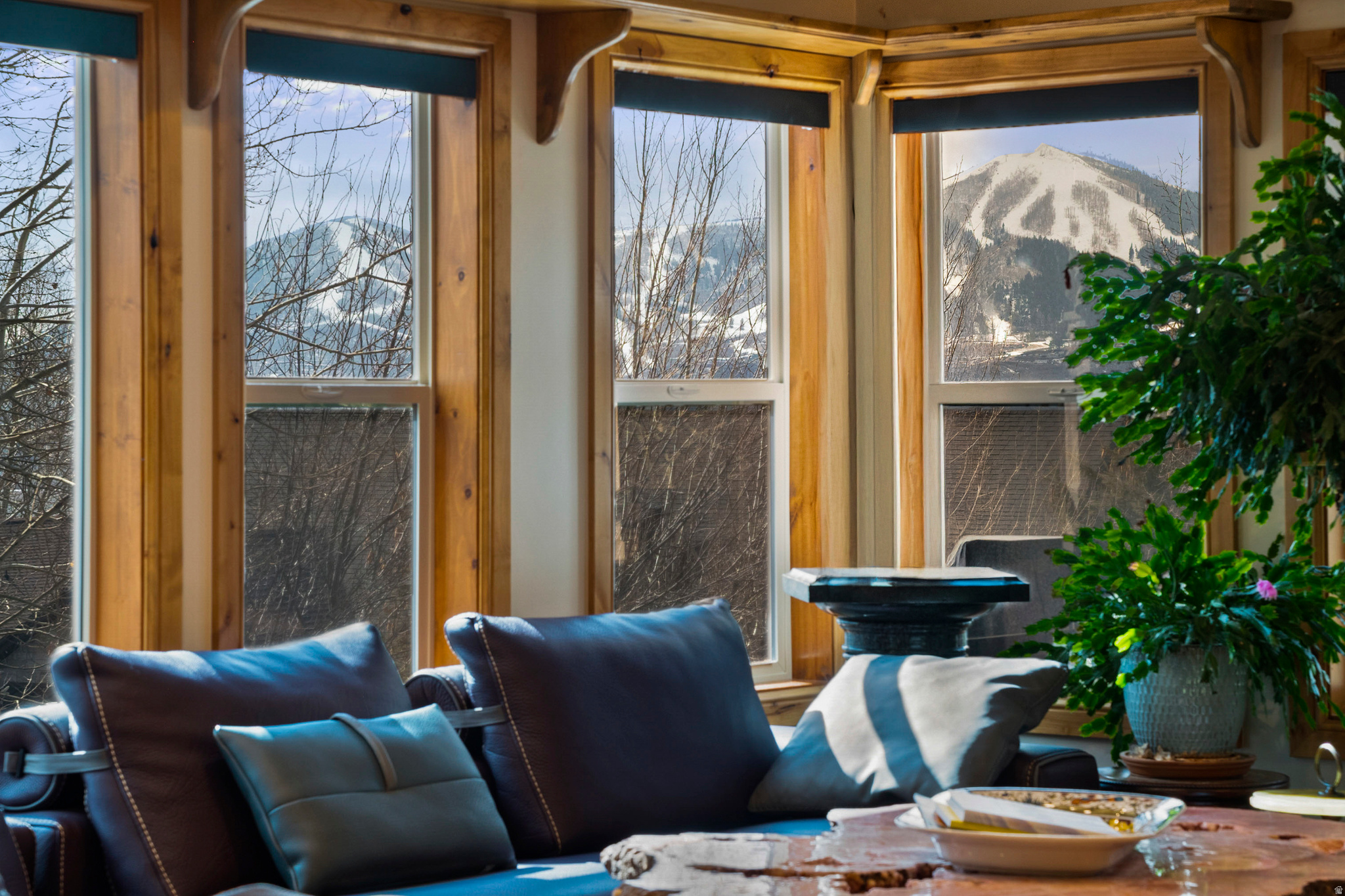 DEER MOUNTAIN - Residential