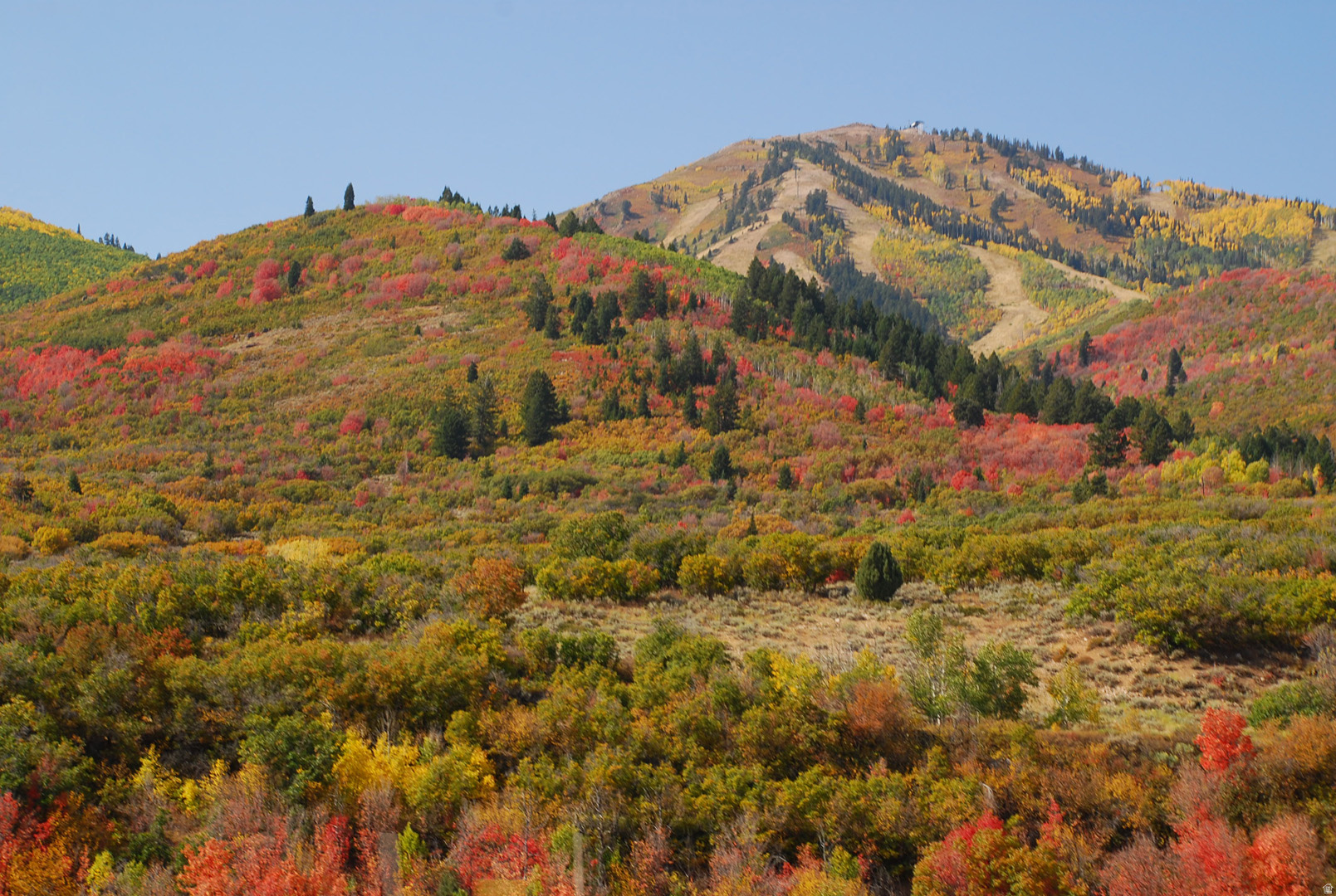 DEER MOUNTAIN - Residential