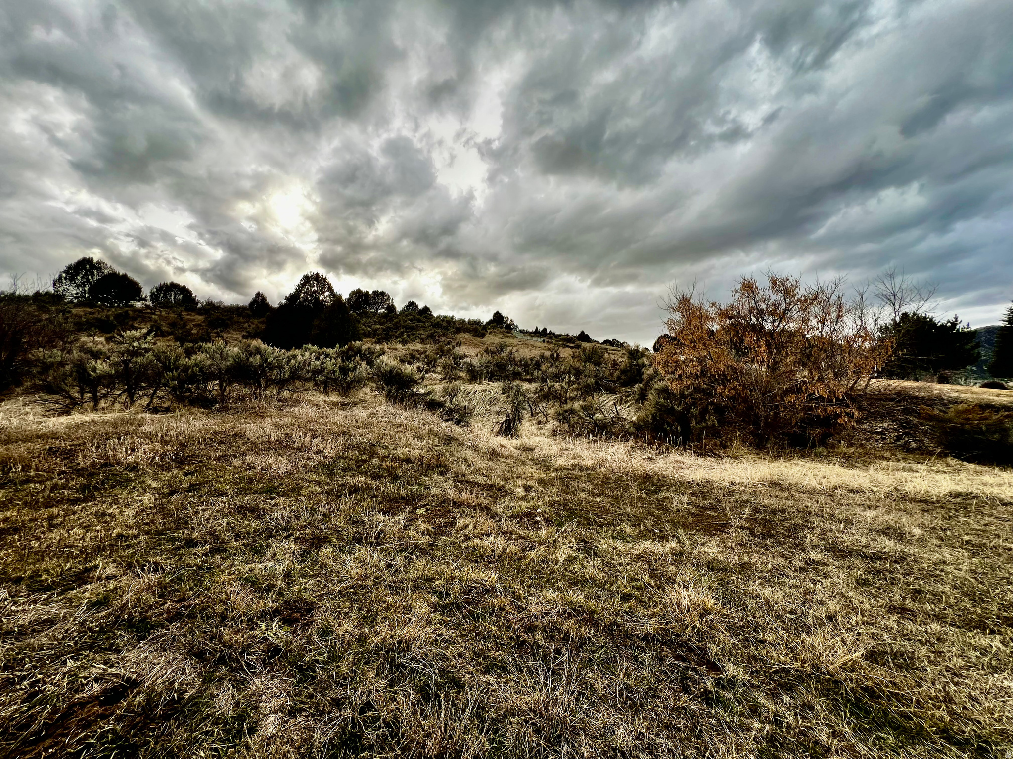 HIGH SCHOOL PARK ADDITION - Land