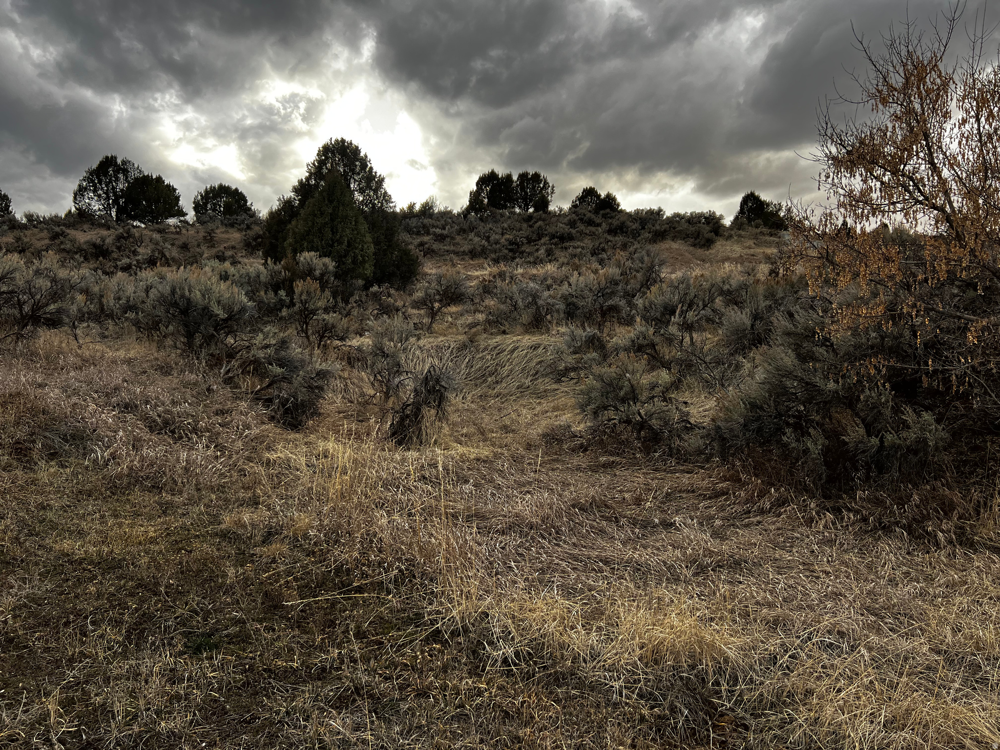 HIGH SCHOOL PARK ADDITION - Land