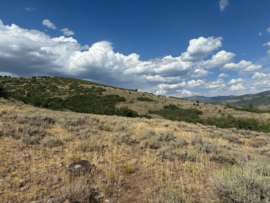 Raw land with no utilities in beautiful Woodland mountain setting.  Selling 2 abutting parcels together, each containing 11.59 acres.  Parcel  # 00-0008-1385, 11.59 acres and 00-0008-1377, 11.59 acres. Both parcels combined contain 23.19 acres. Buyer to verify all property information independently.