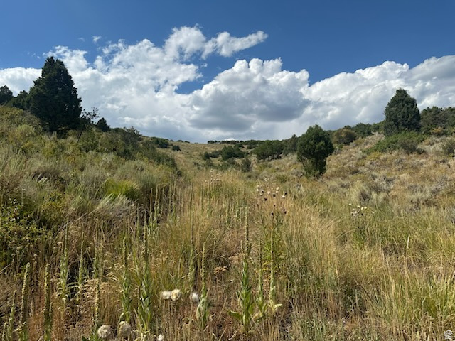 WOODLAND - Land