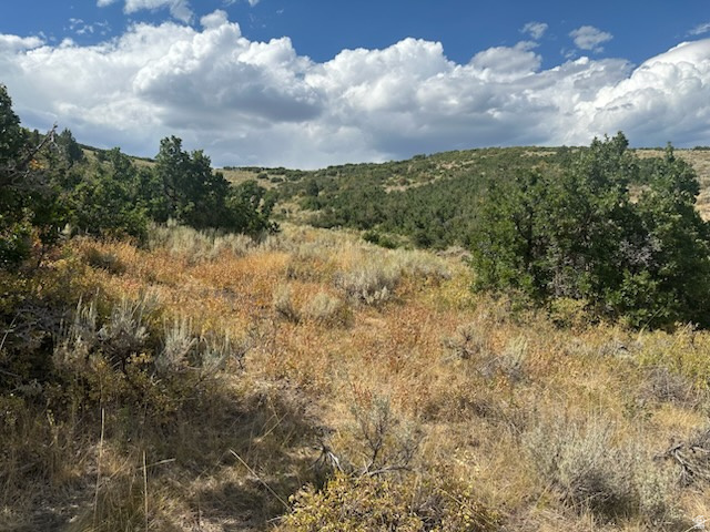 WOODLAND - Land
