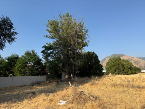 Tiny photo for 496 N 300 W, Mapleton, UT 84664 (MLS # 2178029)