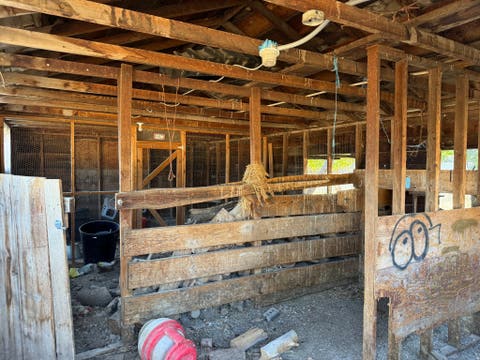 Tiny photo for 496 N 300 W, Mapleton, UT 84664 (MLS # 2178029)