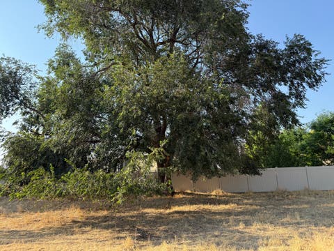 Tiny photo for 496 N 300 W, Mapleton, UT 84664 (MLS # 2178029)