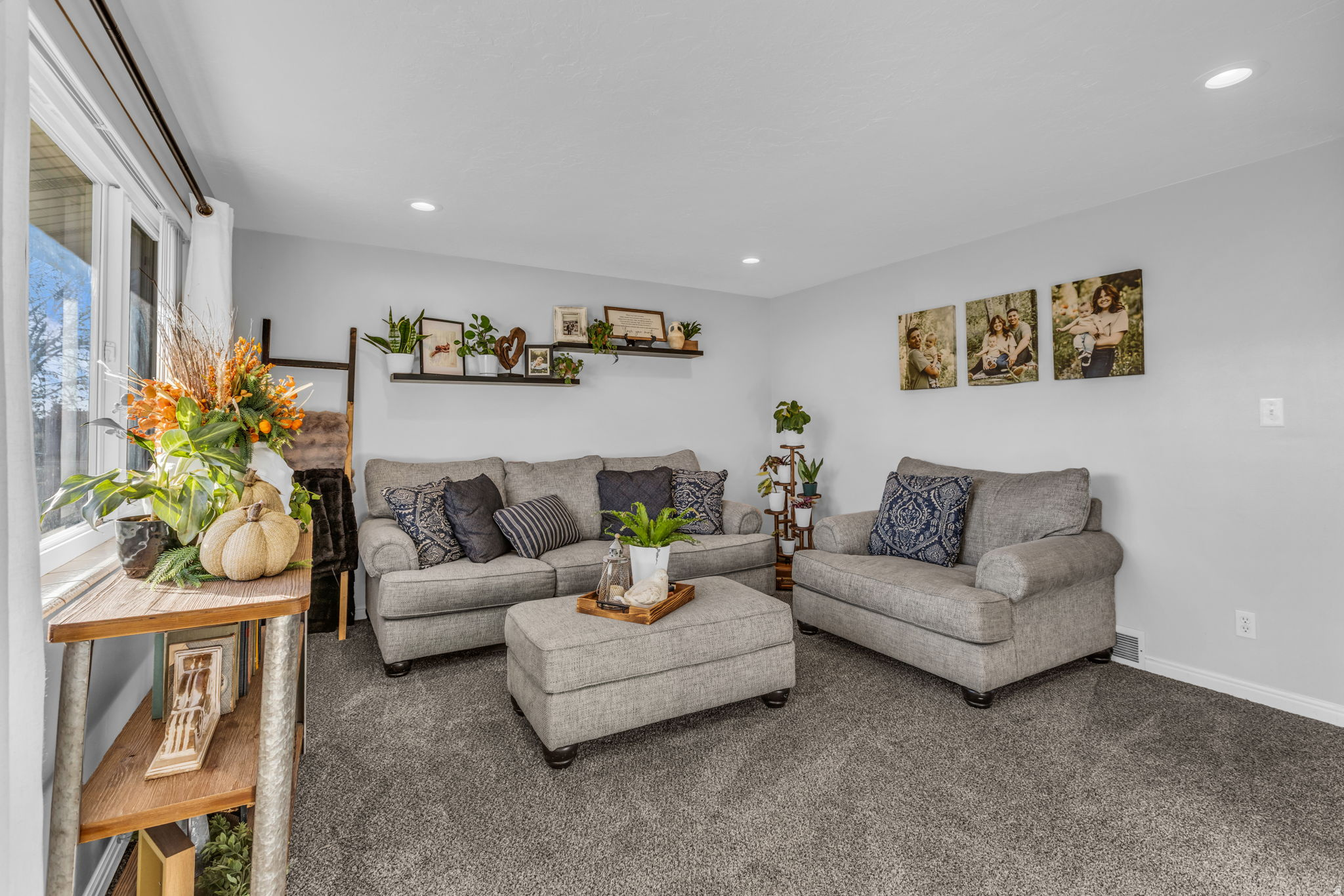 MEADOW PARK - Residential