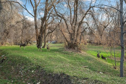 Tiny photo for 978 S 1375 E, Springville, UT 84663 (MLS # 2132529)