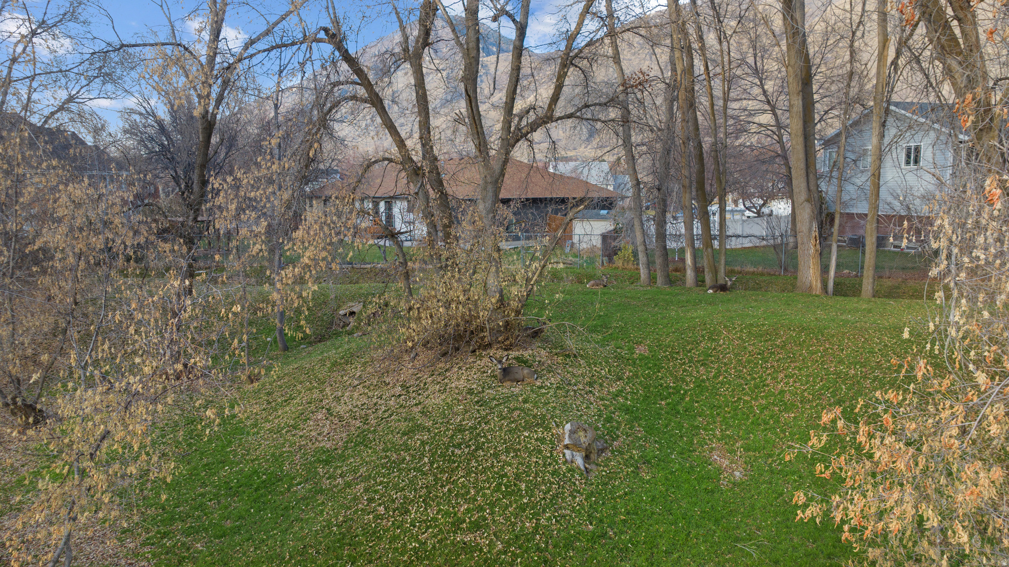 PHEASANT RUN - Residential