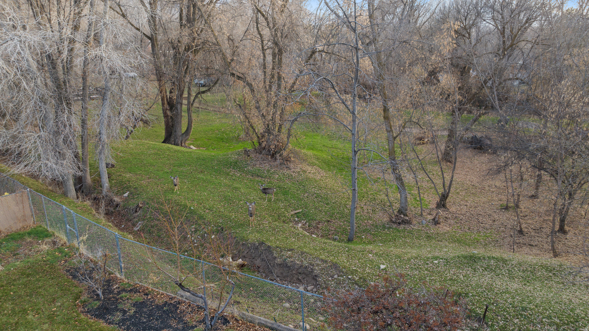 PHEASANT RUN - Residential