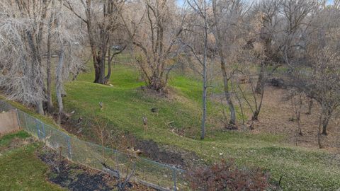 Tiny photo for 978 S 1375 E, Springville, UT 84663 (MLS # 2132529)